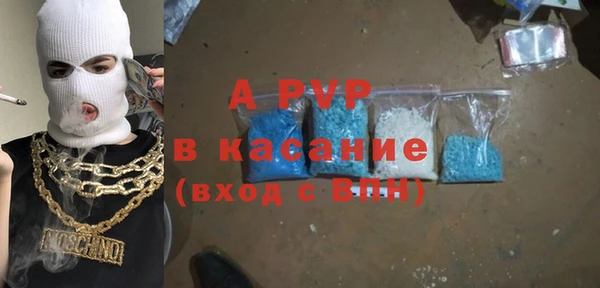 индика Горняк