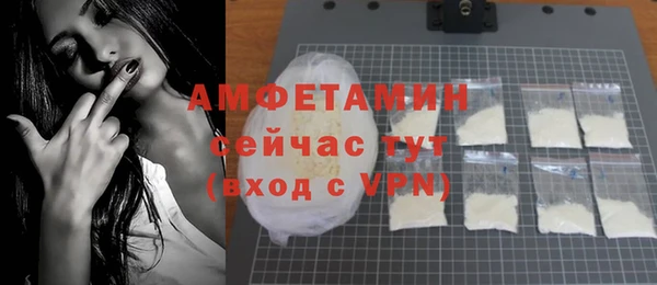 индика Горняк