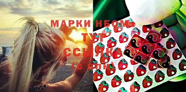 индика Горняк