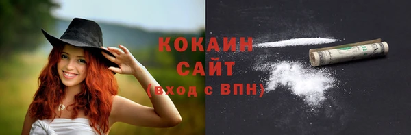 винт Гусиноозёрск
