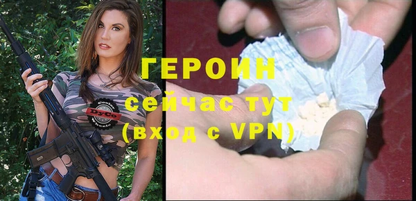 индика Горняк