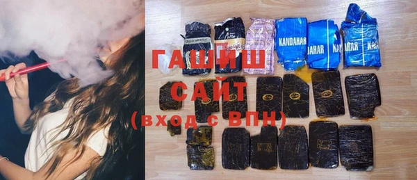 индика Горняк