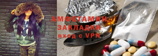индика Горняк