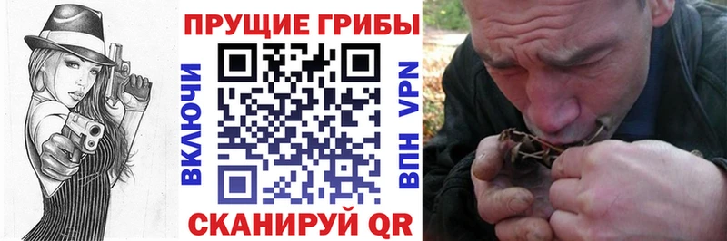 Псилоцибиновые грибы MAGIC MUSHROOMS Пятигорск
