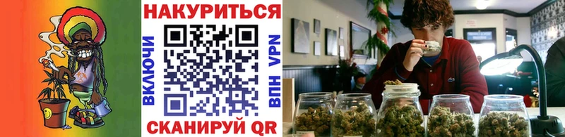 Конопля ГИДРОПОН  Пятигорск 